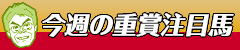 本日のメインショット1